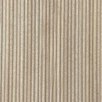 Nobilitato Samoa 5L41 Altai Dogato